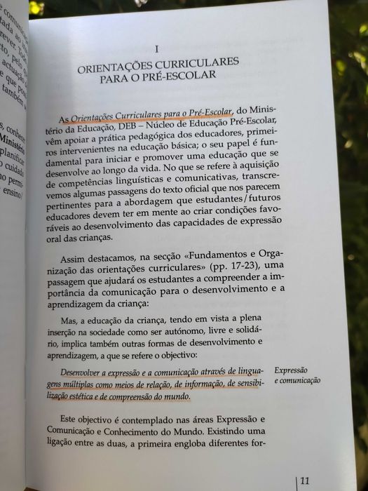Evolução da comunicação linguística I