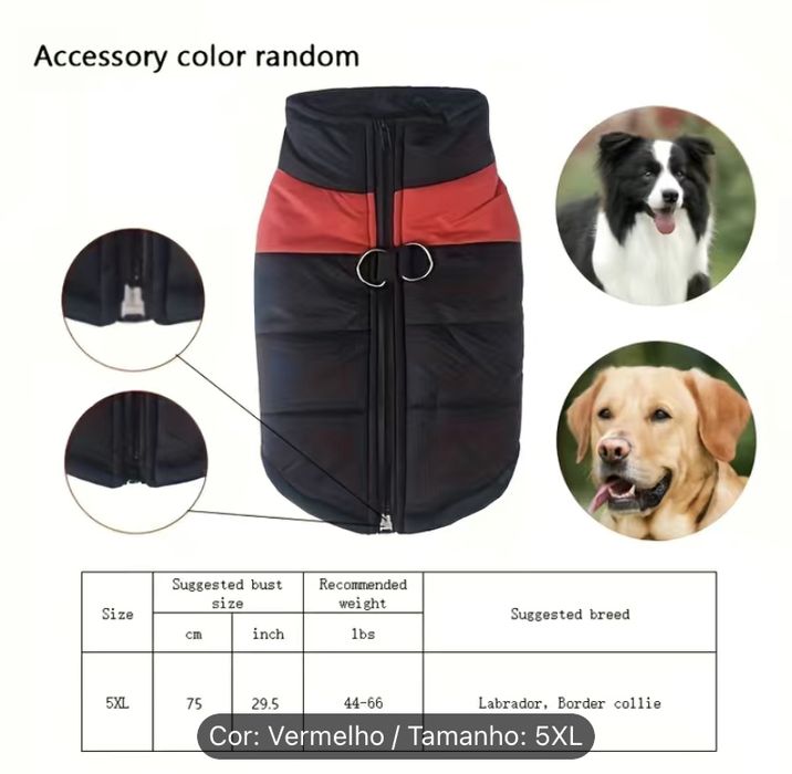 Casaco para cão novo