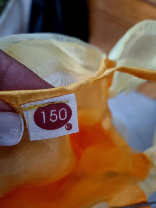 Vestido Bela e o Monstro