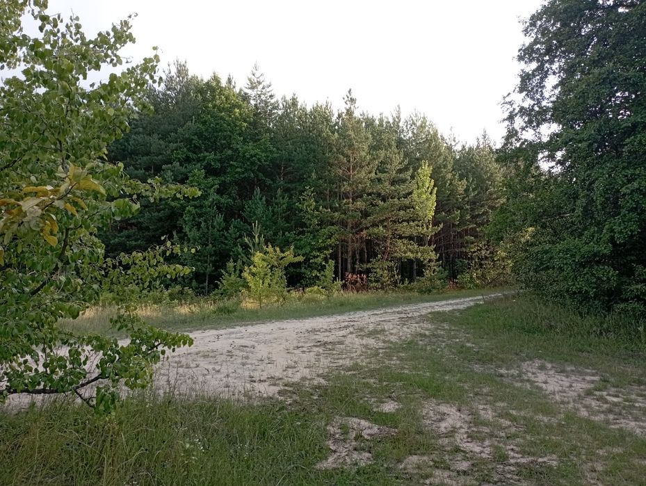 Продам земельну ділянку в с. Стрижівка