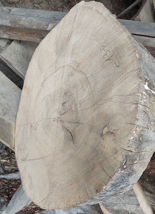 Plaster jesiona na stoliki itp