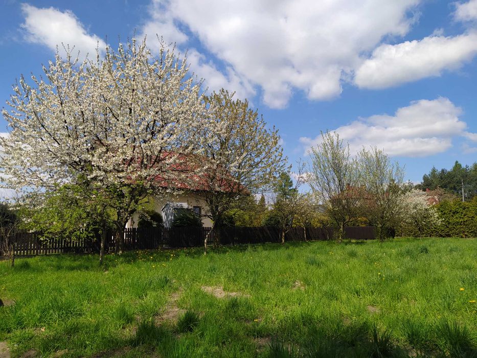 Działka budowlana, Orzesze Jaśkowice, bez pośrednika