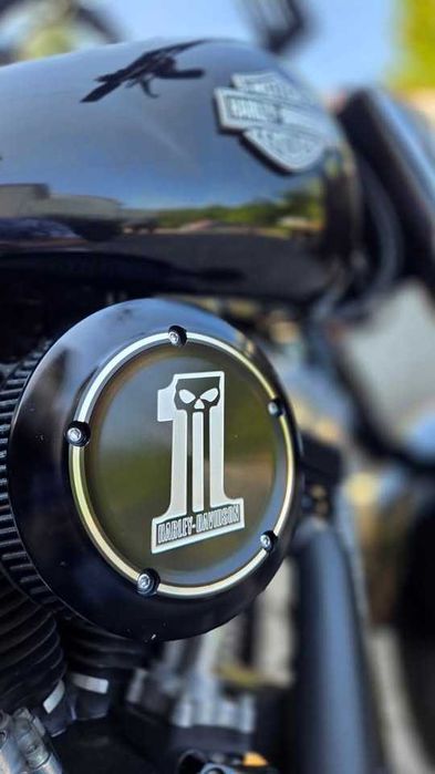 Motocykl Harley-Davidson softail, 2013 rok