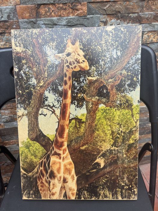 Fotos/Quadros em MDF