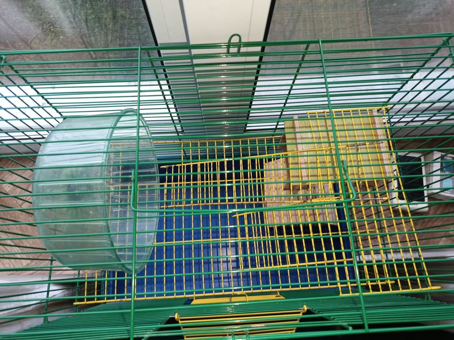 Клетка , клітка  для гризуна , хомяка (клітка)