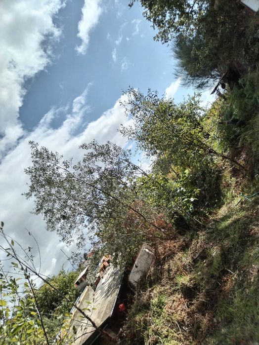 casa isolada na natureza sem vizinhos a