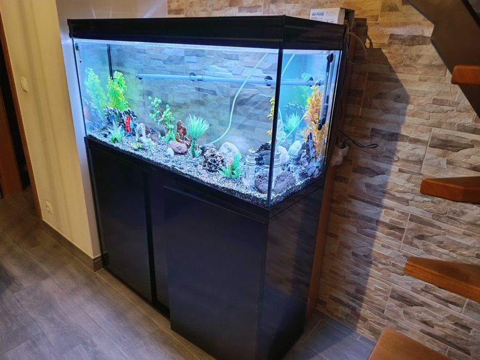 Aquário completo