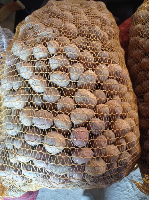 Ziemniaki drobne na paszę