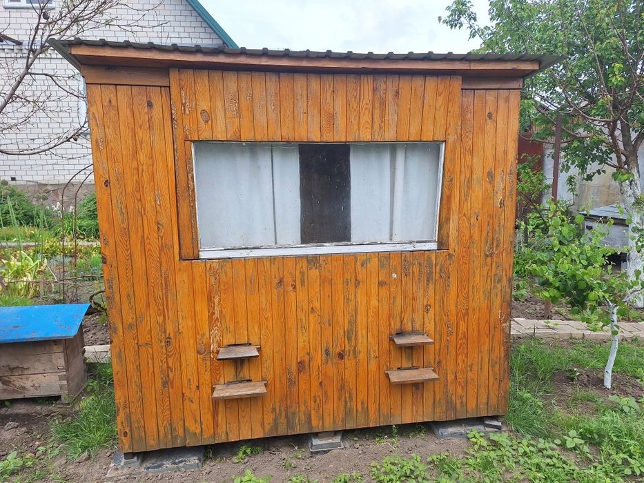 Апібудиночок (сон на бджолах)