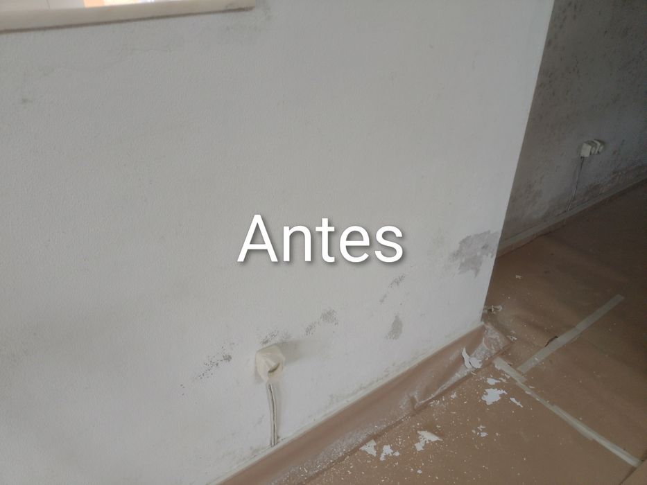 Pintura de casas