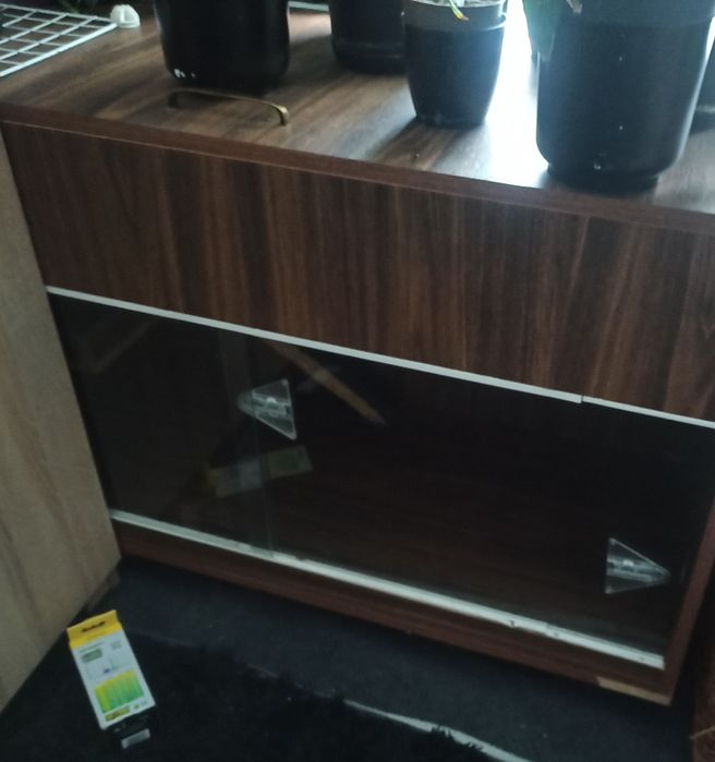 Terrarium termostat jeż wąż jaszczurka gad