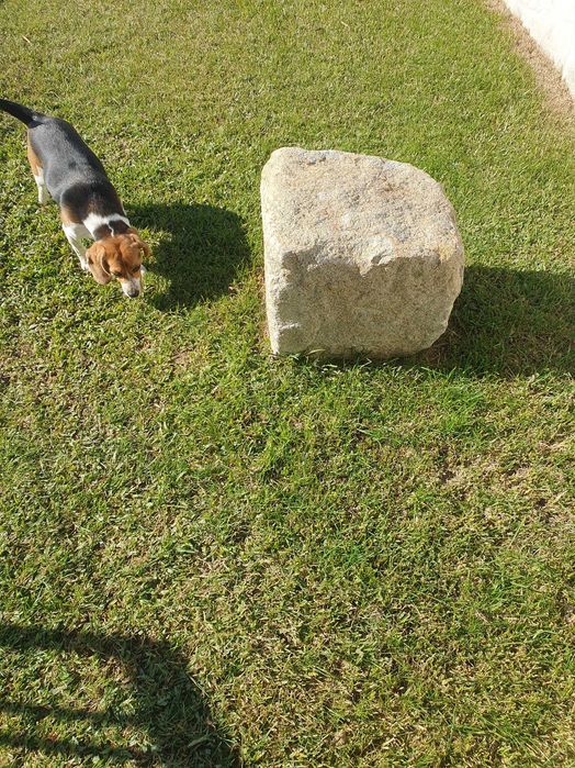 Pedra para jardim