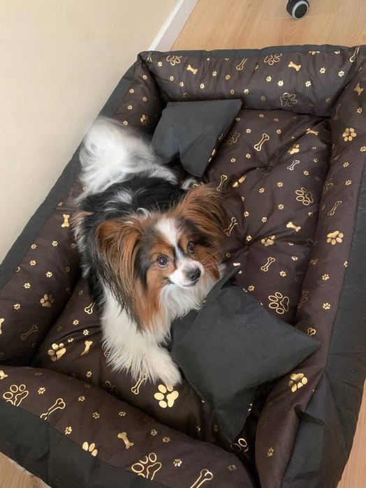 Legowisko Kojec Posłanie Wodoodporne 100x75 Cm Nowe pies kot