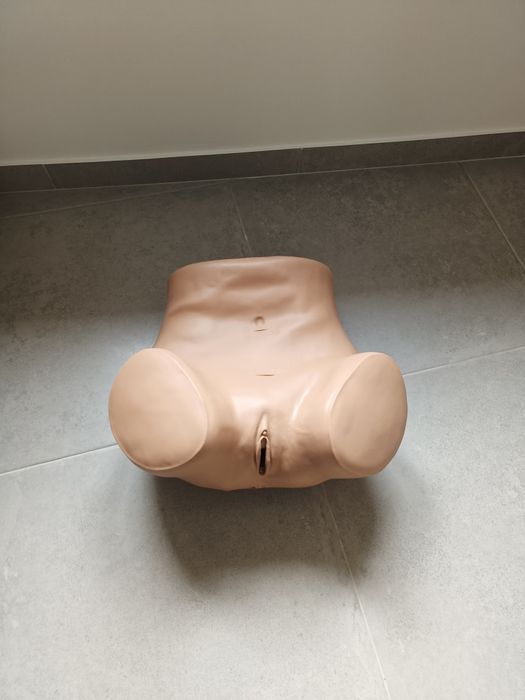 Simulador ginecológico "ZOE"