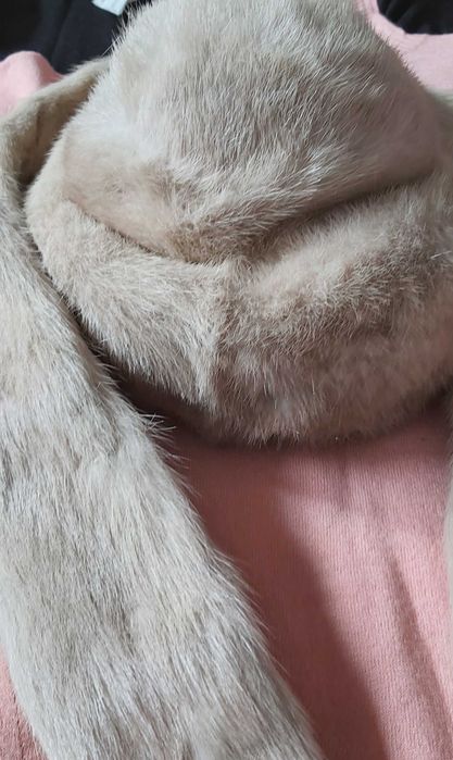 Czapka z kołnierzem norki