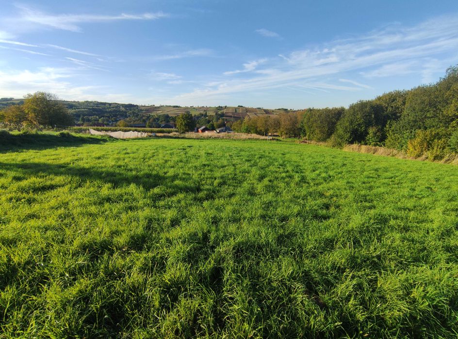 Działka rolno-budowlana 0,1747 ha  PRUCHNIK
