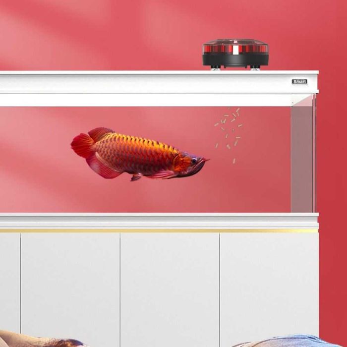 Comedouro, Alimentador Automático para Peixes "Feast 16"