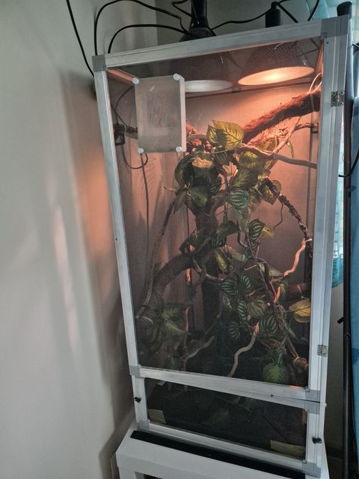 Terrarium klatka dla kameleona jaszczurki