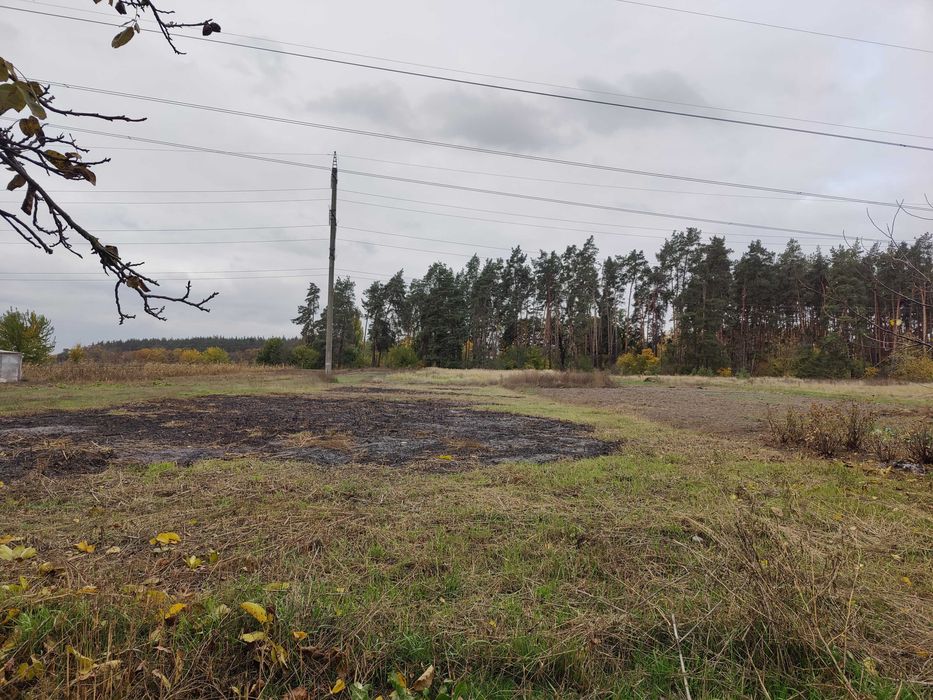 Продаж будинку в с.Руська Поляна біля лісу