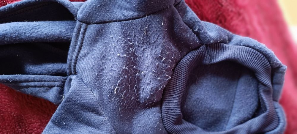 2 camisolas para cão. Uma azul e a outra castanho. Com algum uso