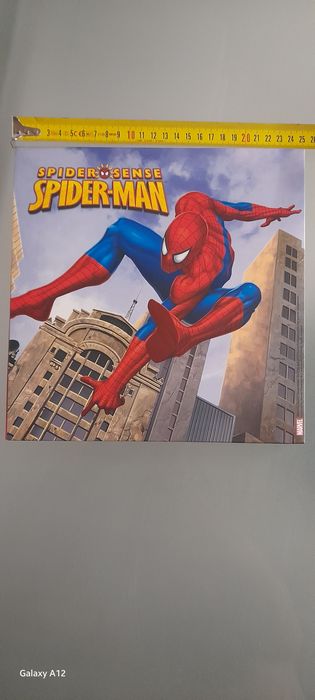 Quadro Homem Aranha.