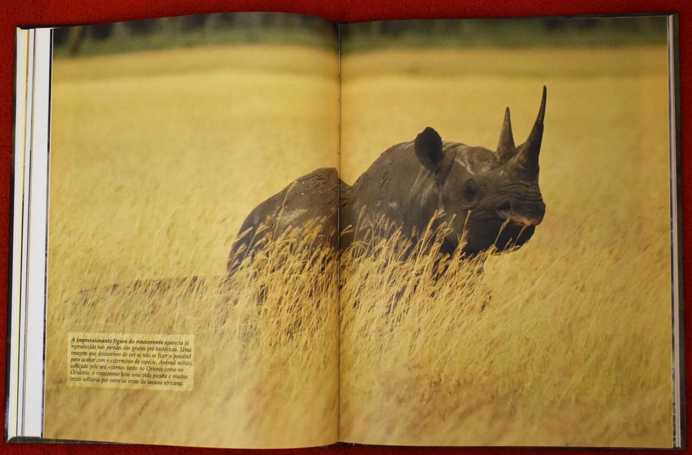 Vida Selvagem - Animais das Savana