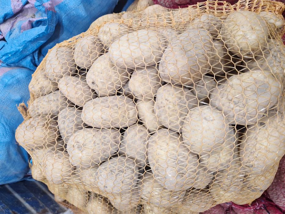 Sprzedam ziemniaki Denar i Bellarosa