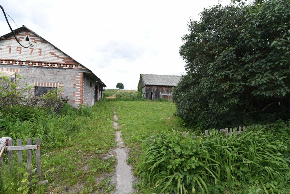 Dom z dużą działką, siedlisko