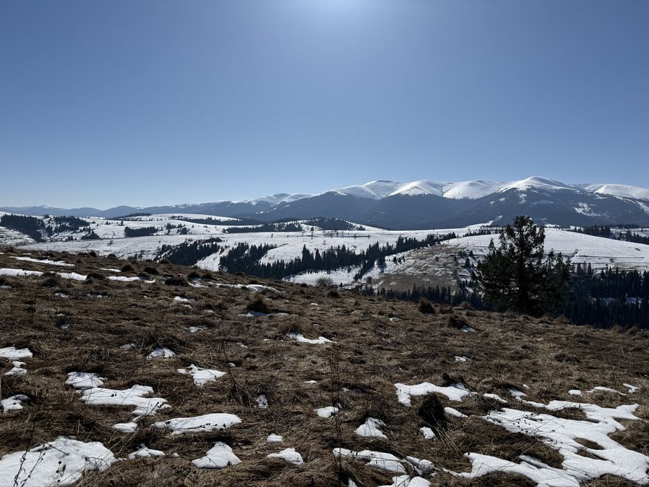 Продається ділянка у с. Пилипець