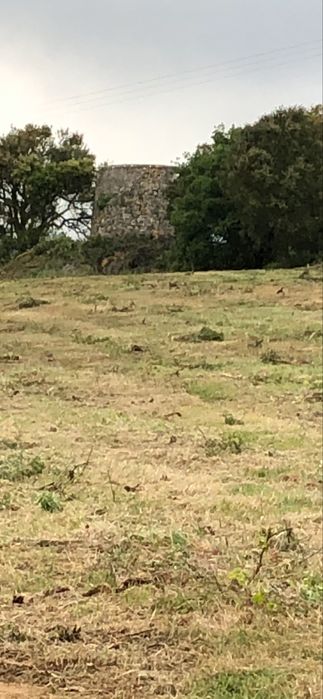 Terreno Rustico e urbano