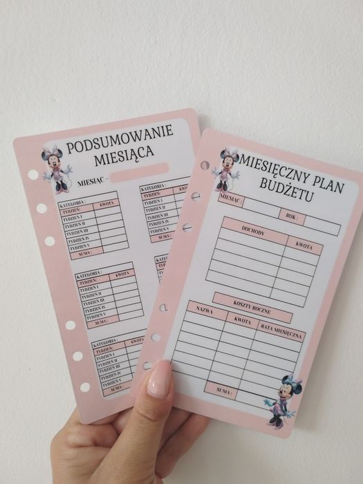 Plan budżetowy Minnie