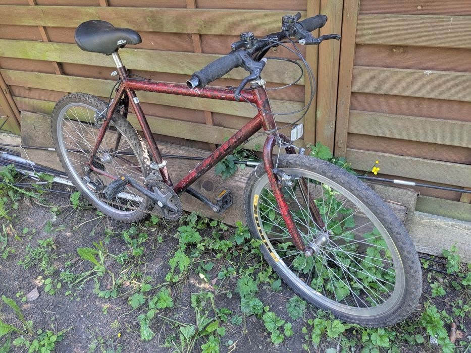 Rower zwykły 26"