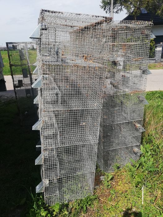 Klatki 6 i 20 komorowe na przepiorki i króliki