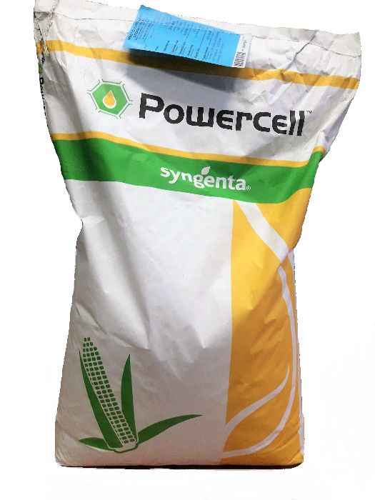 Kukurydza Syngenta  Granaris ziarno ziarnówka Wysyłka