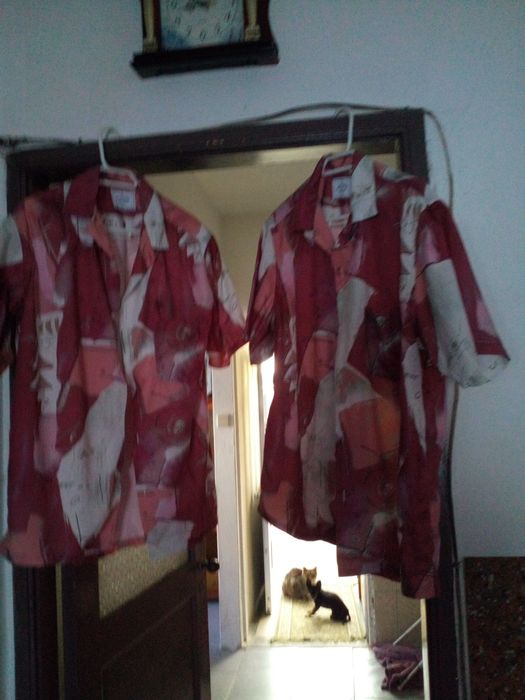 Camisas de homem tamanho l