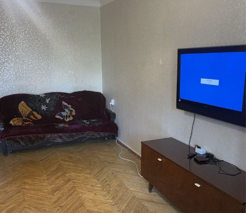 Центр 1 кімнатна 2-3 бюдини на місяць/тиждень Можна з тваринами