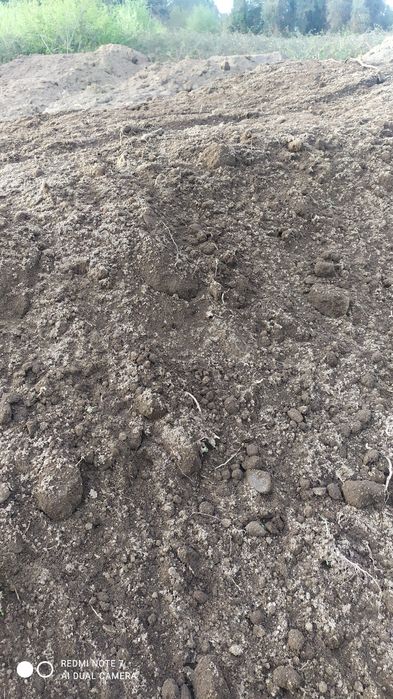 Terra preta terra vegetal