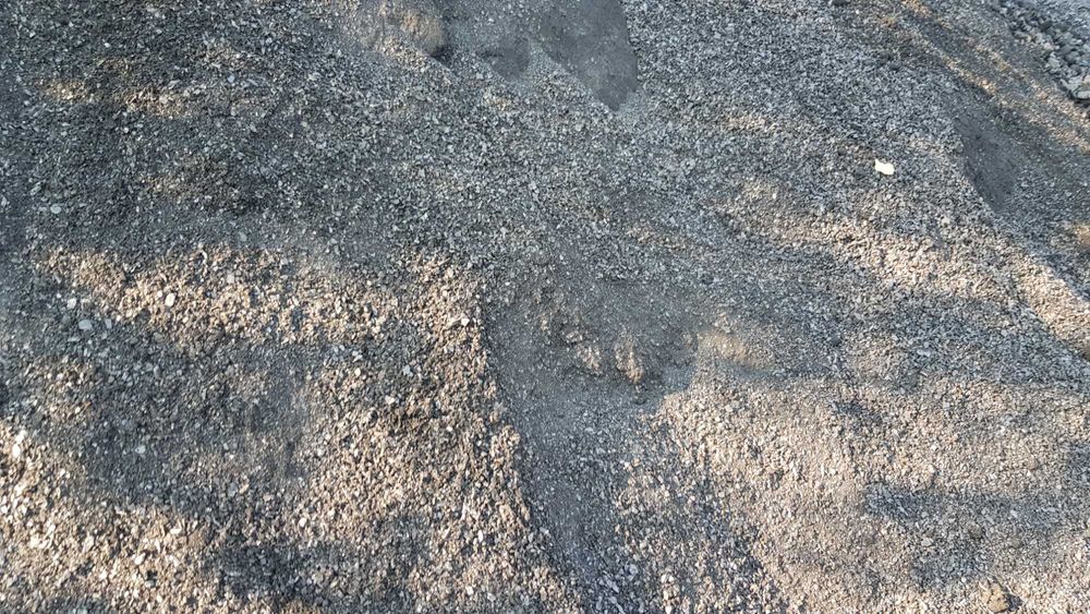 Miał,  dotyczy mni 25 t