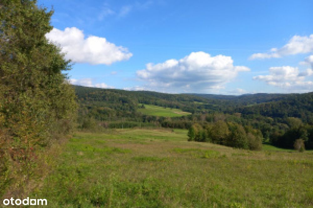 Widokowa działka z Warunkami Zabudowy Pietrusza Wola, gm. Wojaszówka