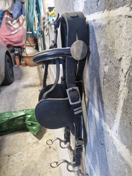 Oglowia dla konia stajenno-zaprzęgowe,kantar z okularami i munsztykiem