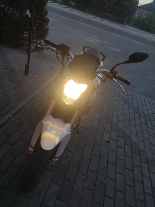 Benelli ТНТ 25 2017