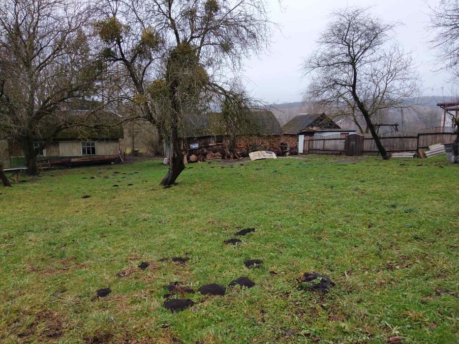 Продаж будинку і земельних ділянок