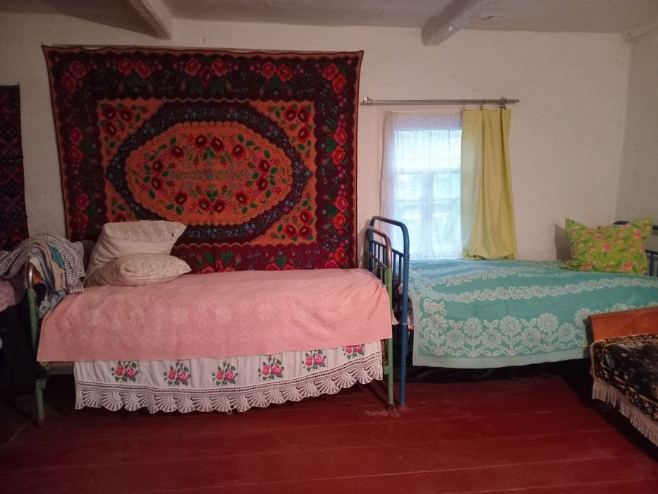 Продаж будинку у селі Друцьке