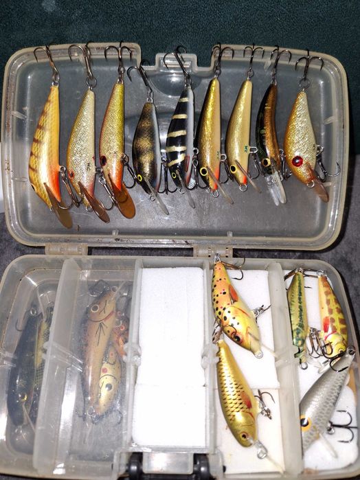 Woblery Pstrąg,Troć