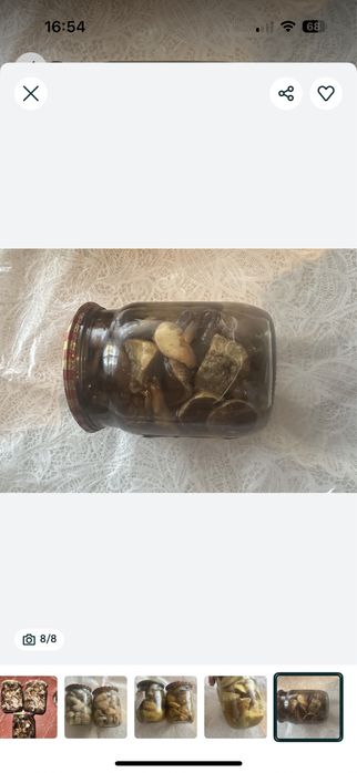 Гриби мариновані опеньки польсий білий синяк