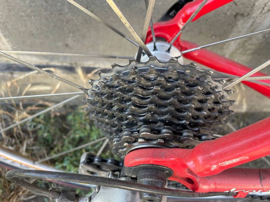Шосейний велосипед Colnago Primavera