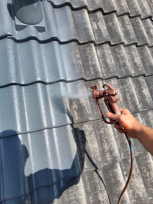 Malowanie Dachów i Elewacji mycie kostki  na terenie całej P