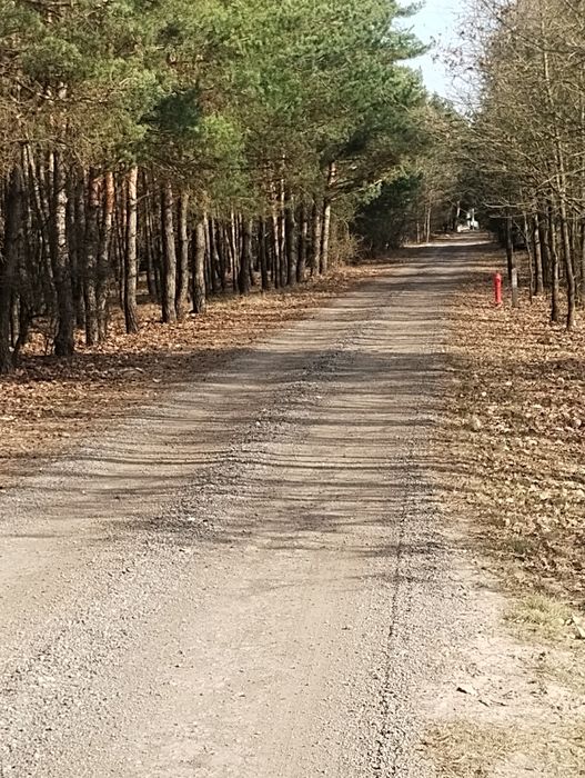Działka leśna Famułki Brochowskie powiat Sochaczew 1600 m² - Widok 3