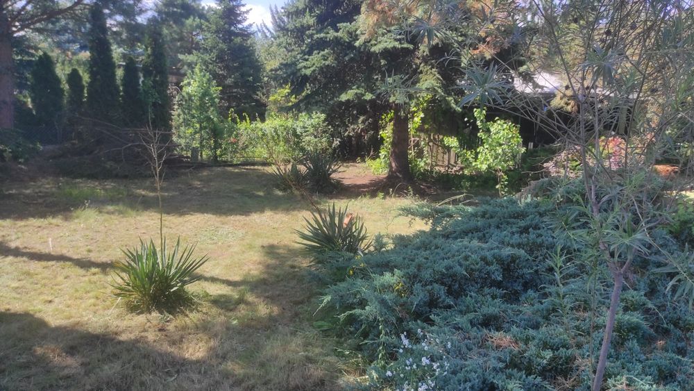 działka ROD Targówek Gaj, Janowiecka 77 Warszawa, nr 658