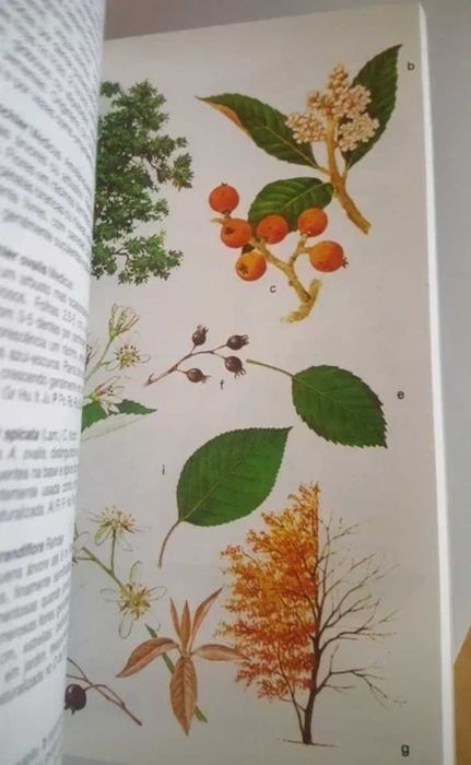 Livros técnicos Natureza